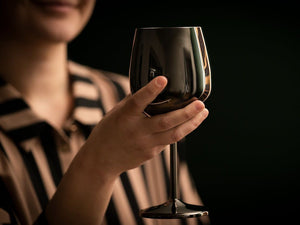 ENSEMBLE VERRE À VIN EN ACIER INOXYDABLE 4-PC - 6